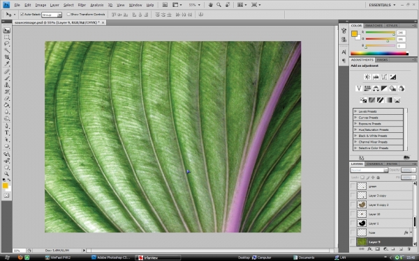 Creation of In my garden: Step 1